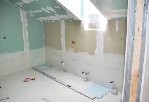 Trusted Williamson, WV Mold Removal Experts