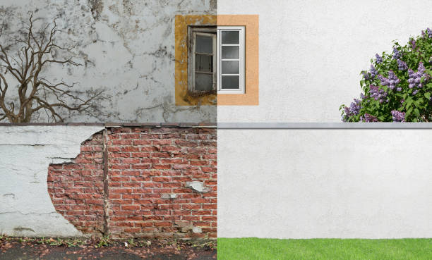 Mold Odor Removal Services in Williamson, WV